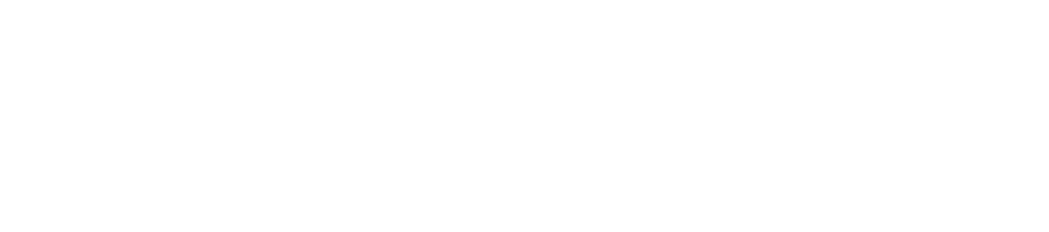 NUR Foundation