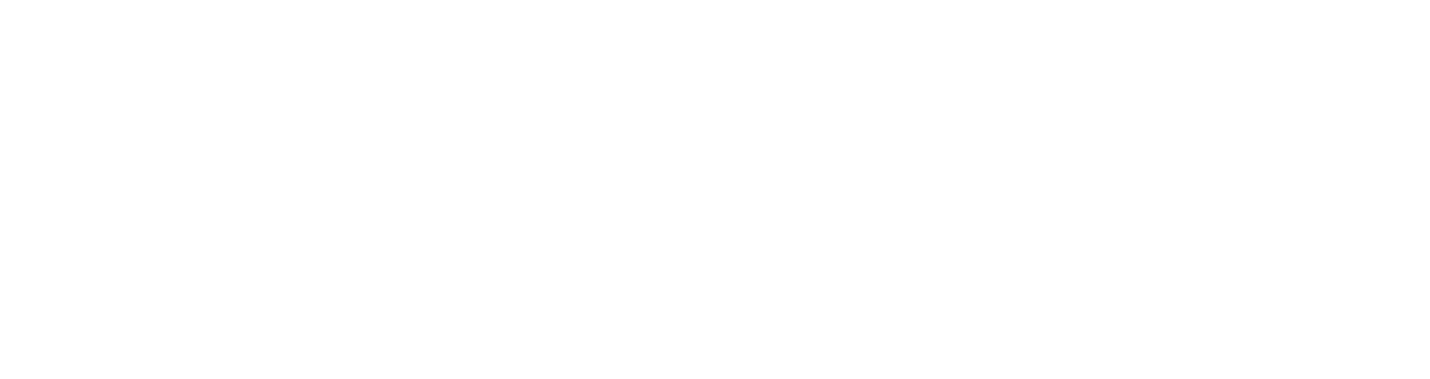 NUR Shanakht Leadership Program